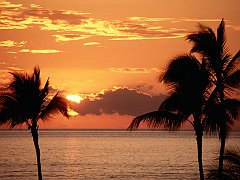 Sunset in the Tropics, Maui
